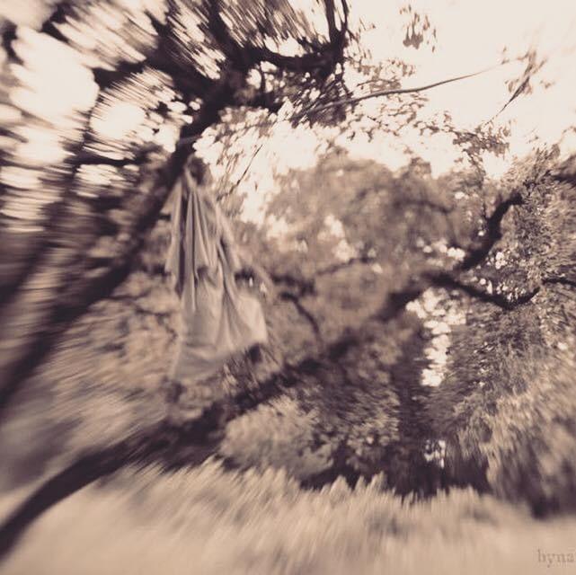 Sepia-toned blurry image of a tree with a cloth hanging from a branch.